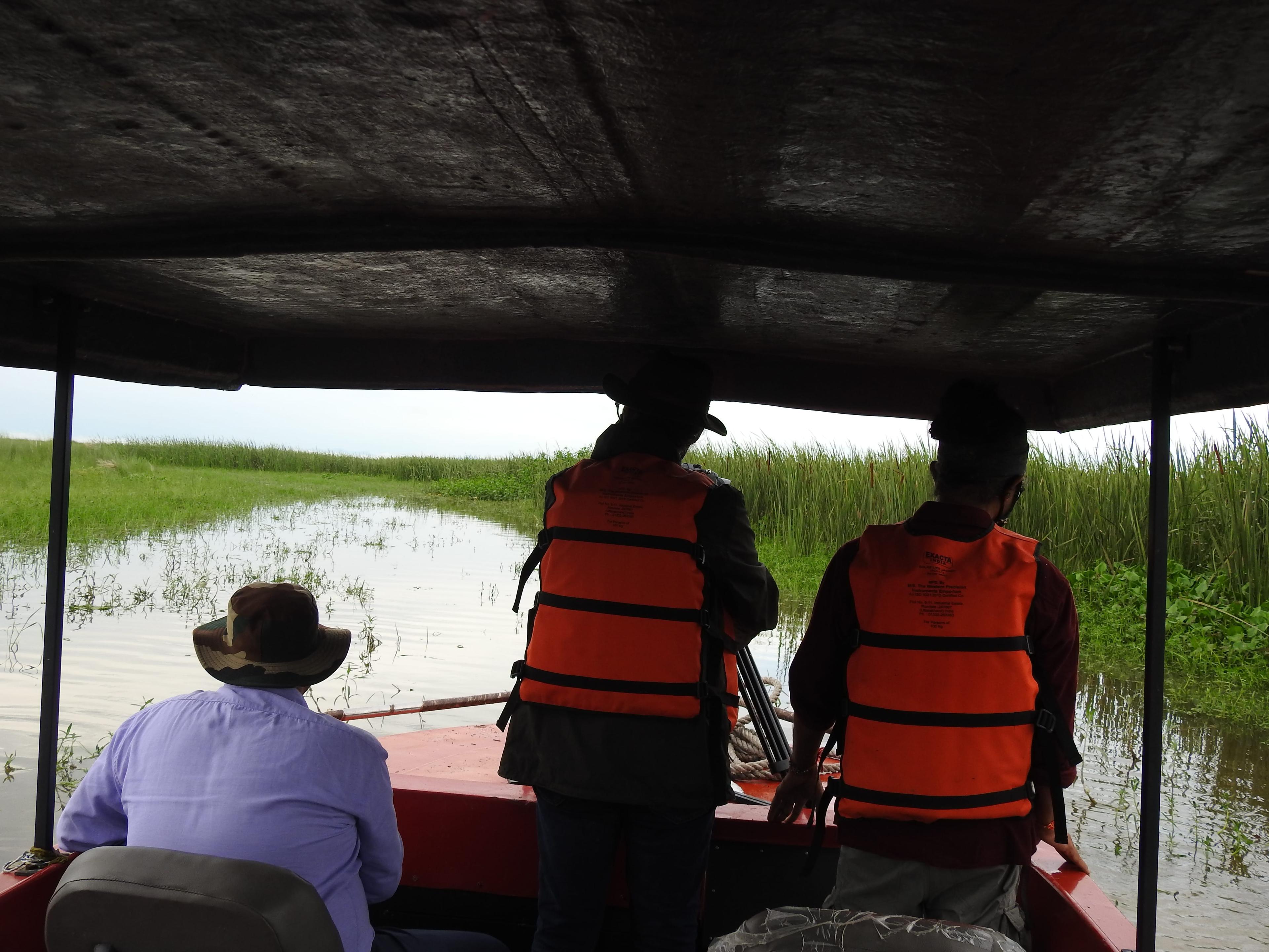 Haiderpur wetlands boat ride